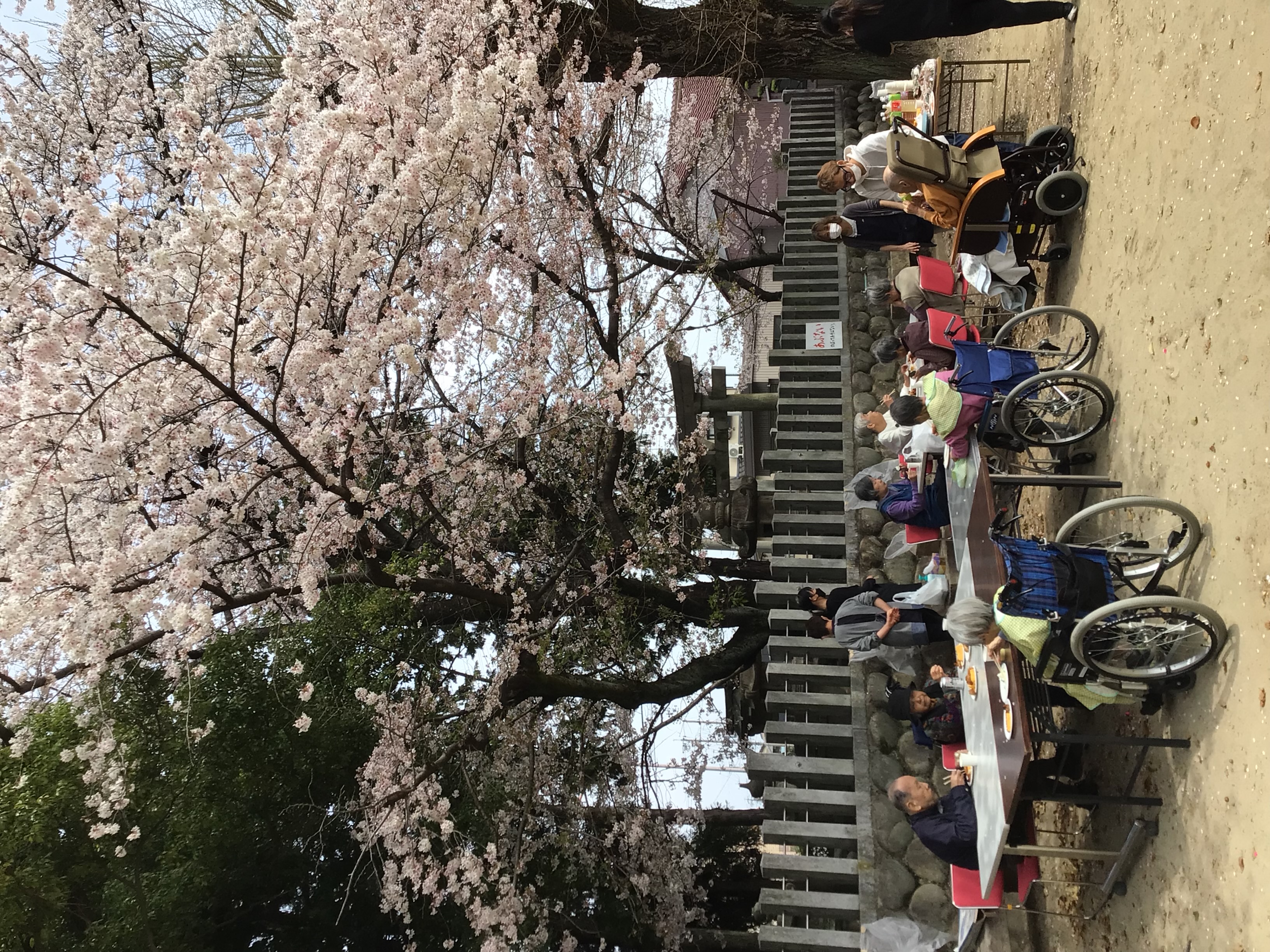 職場環境と福利厚生